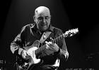 Hideaway : Eric Vandekerckhove (basse), Ralph Bonte (chant, guitare), Jean-Marie Herman (guitar), Patrick Cuivers (claviers), Geeraard de Groote (sax), Johan Guidée (batterie)